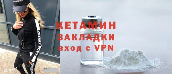 гашик Няндома