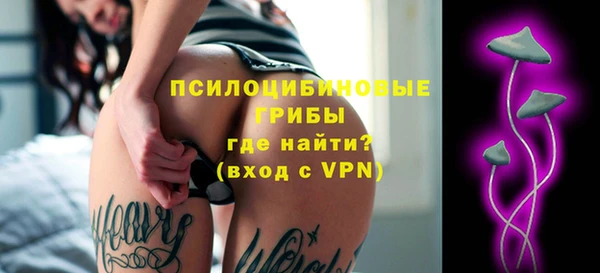 гашик Осинники