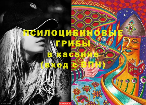 гашик Осинники