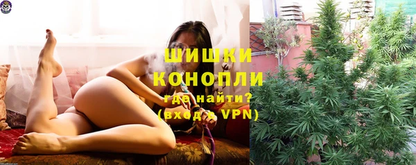 гашик Осинники