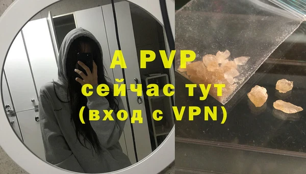 гашик Осинники