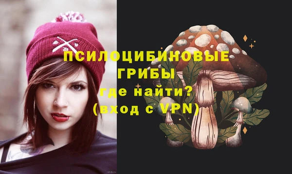 гашик Осинники