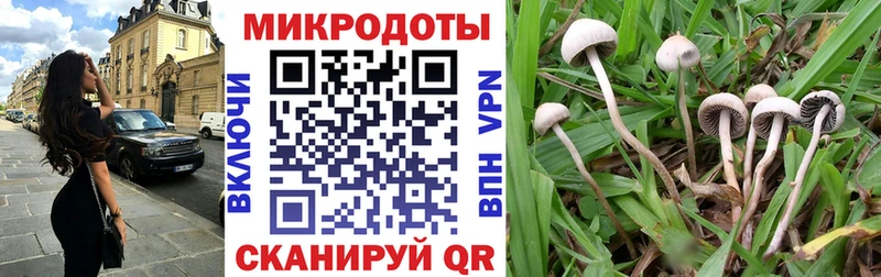 Псилоцибиновые грибы Psilocybe  Купить закладки  Кстово 